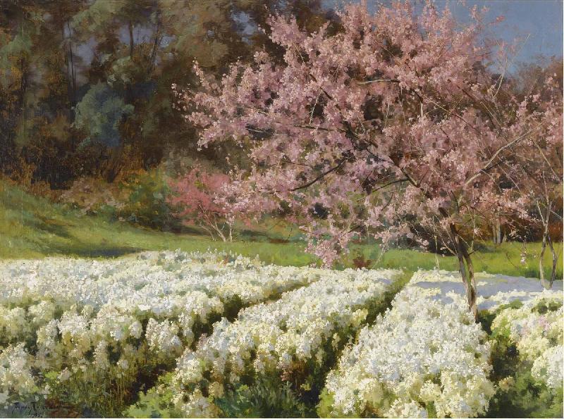 Antonio Mancini Spring blossom oil painting image